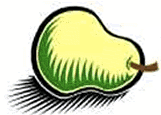 http://www.open-bio.org/w/images/b/b0/Pear.png