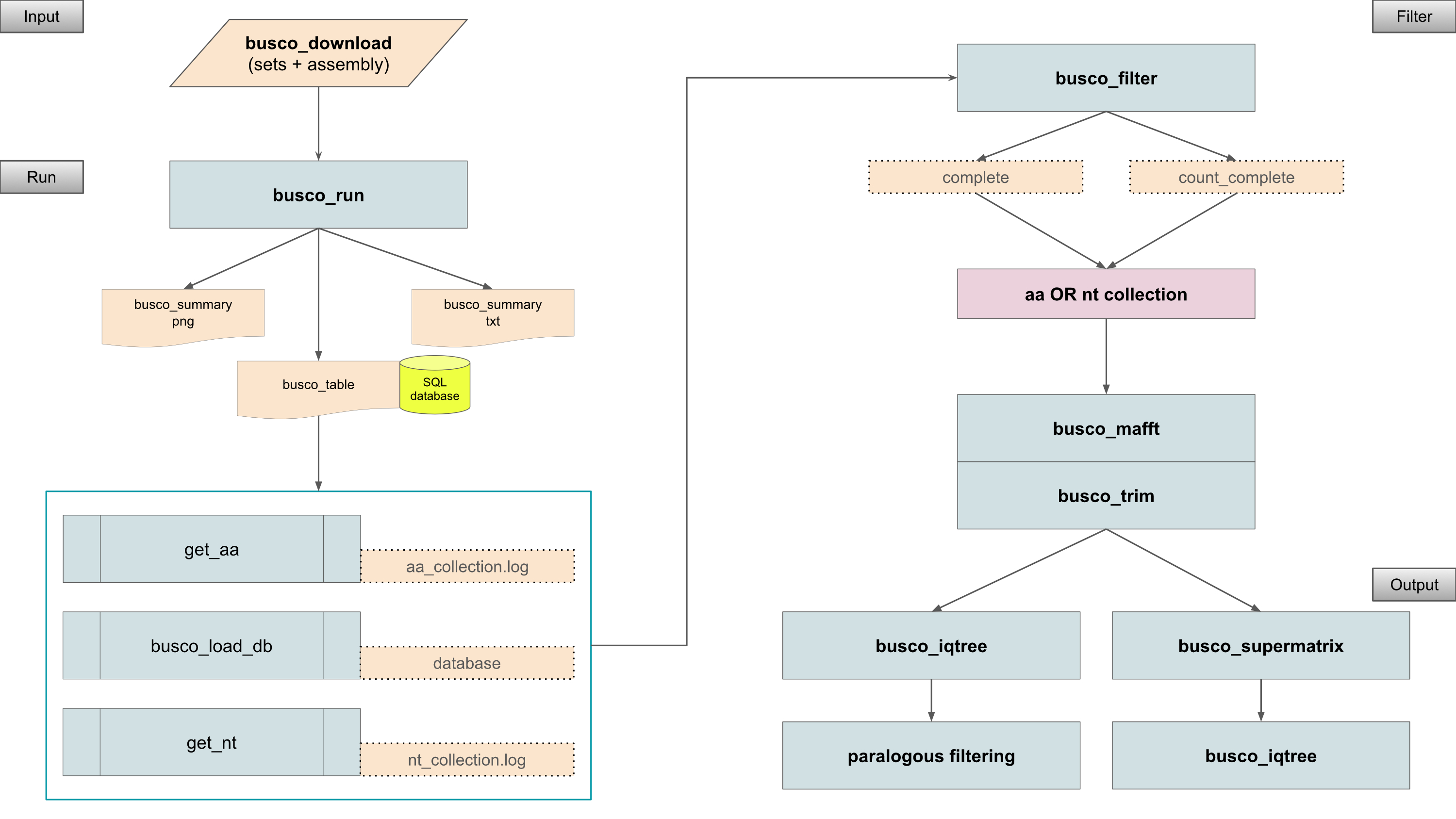 Schema of the pipeline used in our project