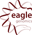 Eagle logo RGB.png
